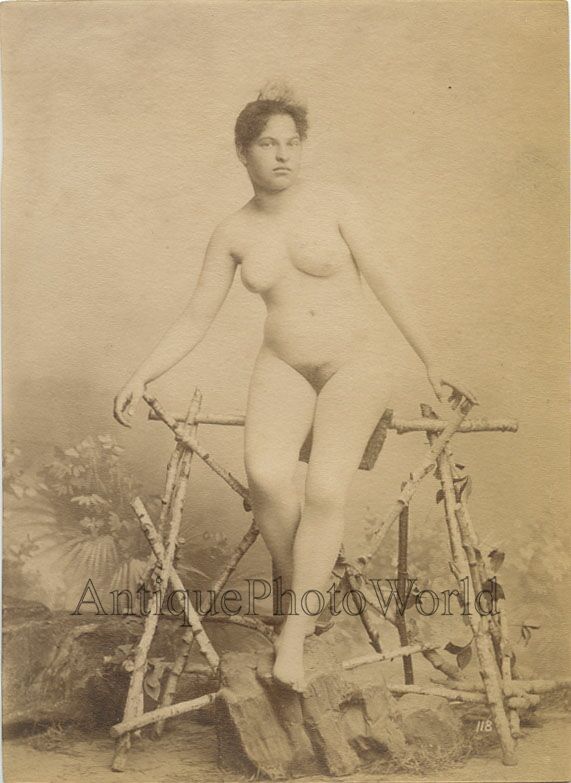 Vintage Nude Pin Up Girl Photos Young nude woman on tree branch fence antique albumen art photo a37881 Young nude woman on tree branch fence antique albumen art photo